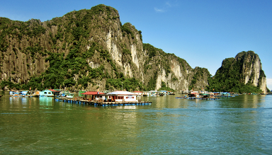 Ha Long Quang Ninh billboards